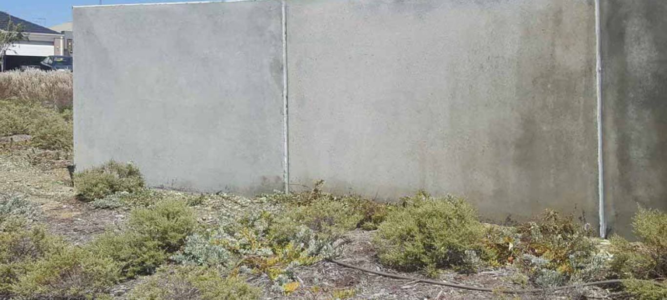 Paint-Removal-Before