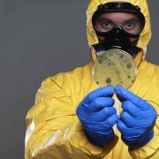 flood-fire-mould-cleaning-sample