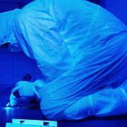 forensic-cleaning-professional