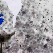 flood-fire-mould-cleaning-inside