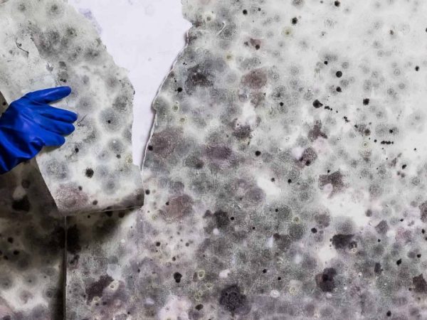 flood-fire-mould-cleaning-inside