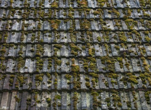 roof tile needs a clean