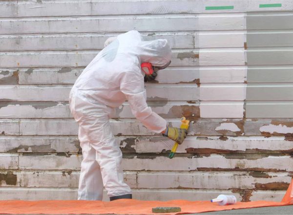 Paint Removal Process