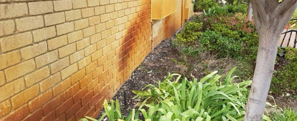 brick-bore-stain-removal-garden