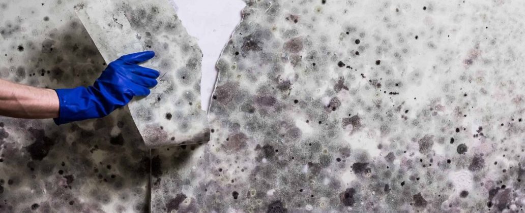 flood-fire-mould-cleaning-inside