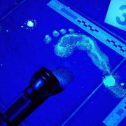 forensic-cleaning-home-inside