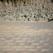 Driveway-Sealing