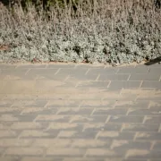 Driveway-Sealing