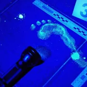 forensic-cleaning-home-inside