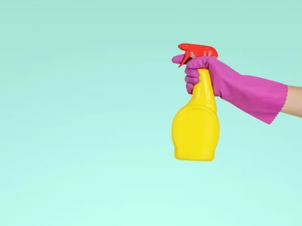 Domestic cleaning