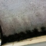 house-washing-mesh