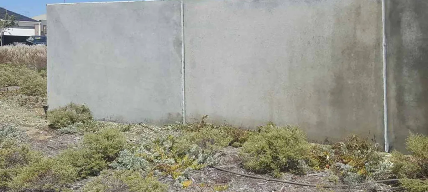 Paint-Removal-Before